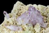 Stunning, Amethyst Crystal Cluster - Las Vigas, Mexico #165627-2